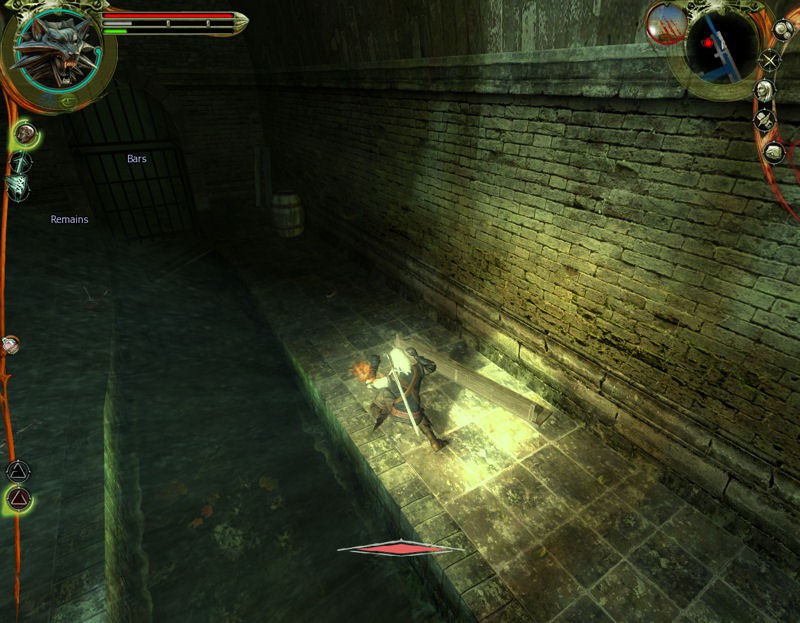 the witcher series,thewitcher the witcher series has its geralt!