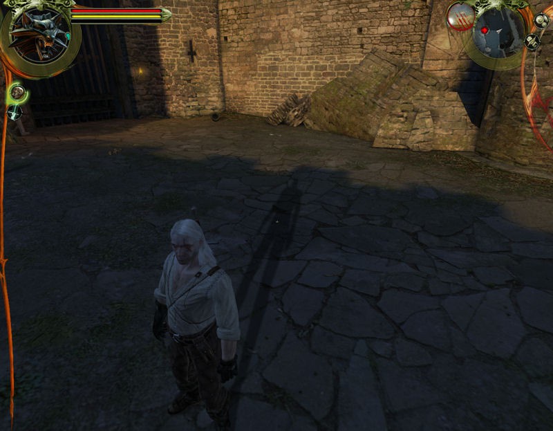 the witcher series,thewitcher the witcher series has its geralt!