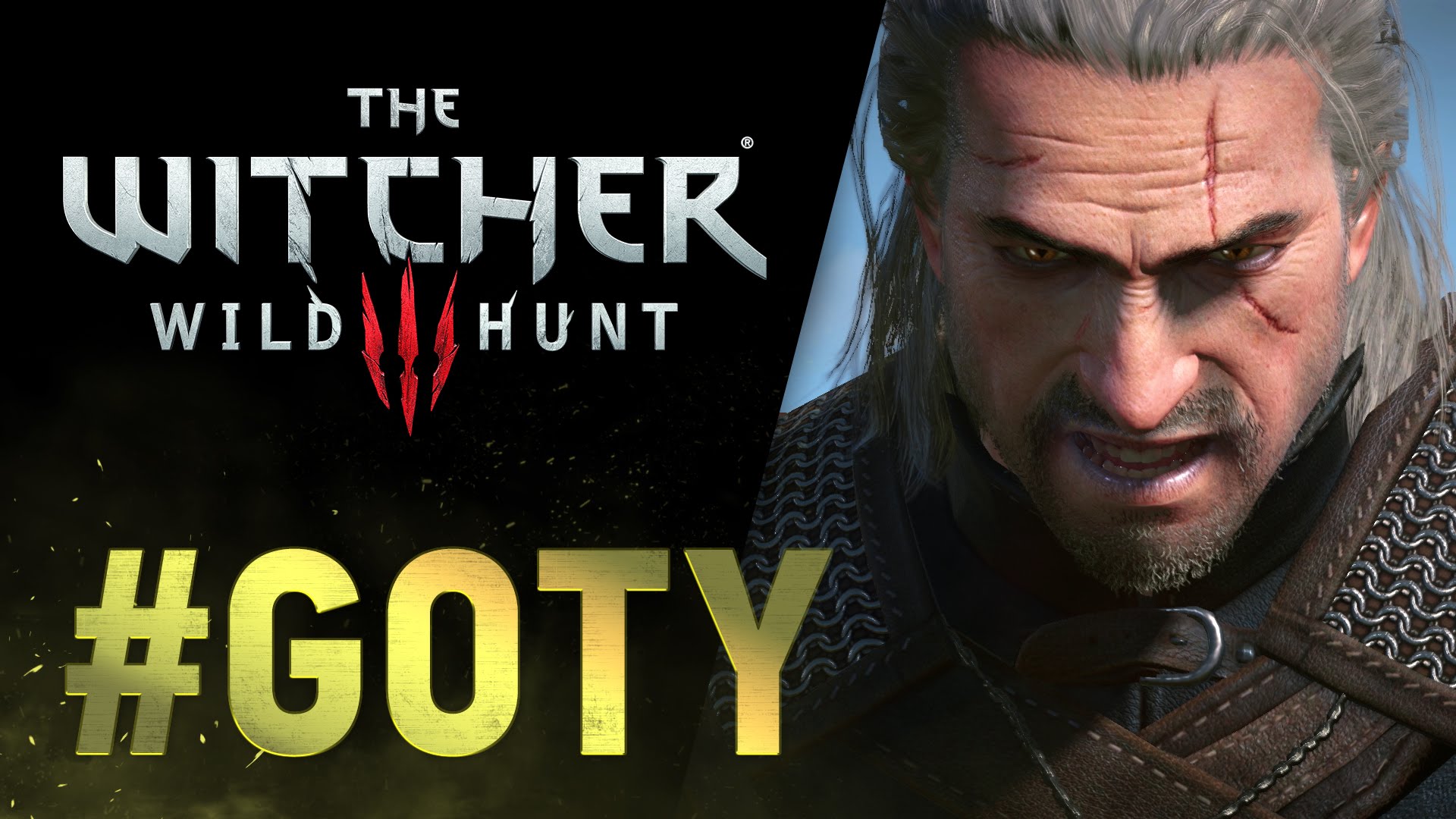 The witcher 3 wild hunt steam gift фото 49