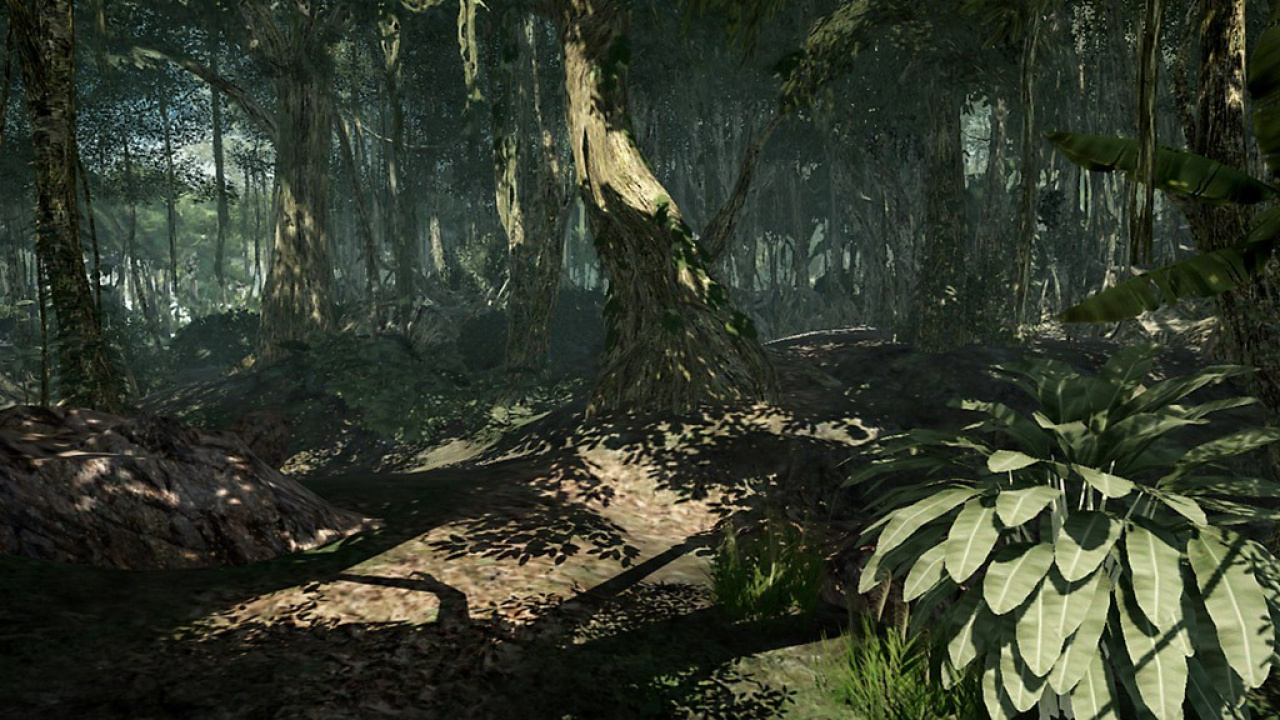 United forest. Игра Lost via Domus. Лост ВИА Домус. Lost via Domus Xbox 360. Lost via Domus Скриншоты.