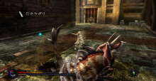 Pandora's Tower für die Wii startet am 13. März 2012