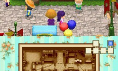 Harvest Moon DS: Der Großbasar im Handel