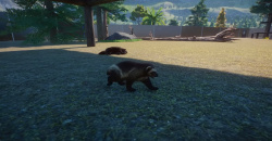 Planet Zoo: Eurasia Animal Pack