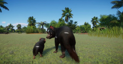 Planet Zoo: Oceania Pack