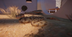 Planet Zoo: Arid Animal Pack