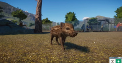 Planet Zoo: Eurasia Animal Pack