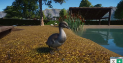 Planet Zoo: Eurasia Animal Pack