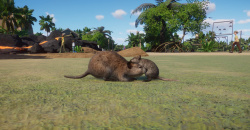 Planet Zoo: Oceania Pack