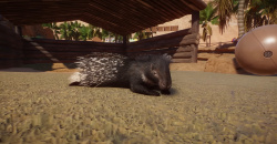 Planet Zoo: Arid Animal Pack