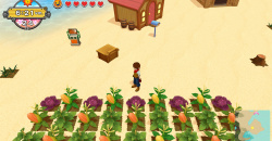 Harvest Moon: Eine Welt