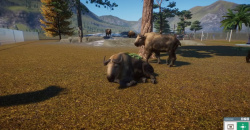 Planet Zoo: Eurasia Animal Pack