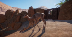 Planet Zoo: Arid Animal Pack