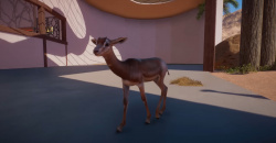 Planet Zoo: Arid Animal Pack