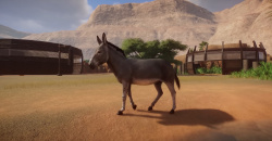 Planet Zoo: Arid Animal Pack