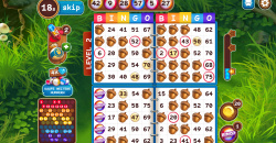 Bingo Beavers - Board game & Design