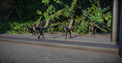 Jurassic World Evolution 2: Feathered Species Pack