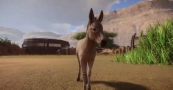 Planet Zoo: Arid Animal Pack