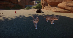 Planet Zoo: Arid Animal Pack