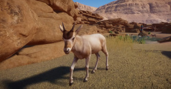 Planet Zoo: Arid Animal Pack