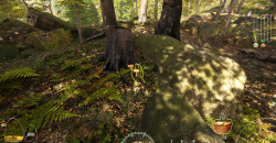 Forest Ranger Simulator