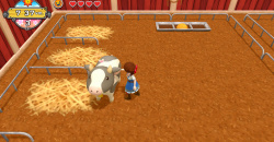 Harvest Moon: Eine Welt