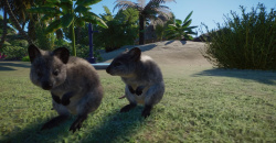 Planet Zoo: Oceania Pack