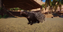 Planet Zoo: Arid Animal Pack