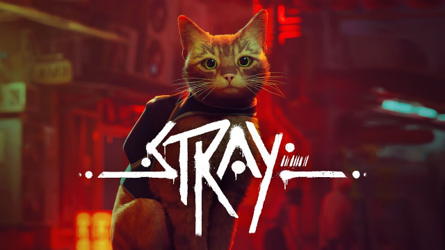 Stray erhält physische Xbox VersionNews  |  DLH.NET The Gaming People