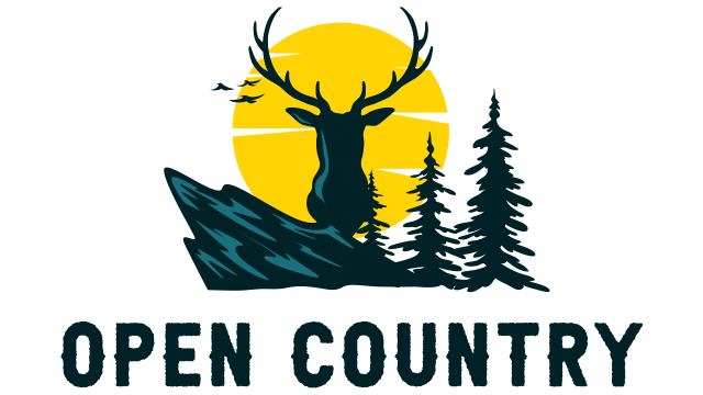 Open Country erscheint heute für PS4, Xbox One und PCNews  |  DLH.NET The Gaming People