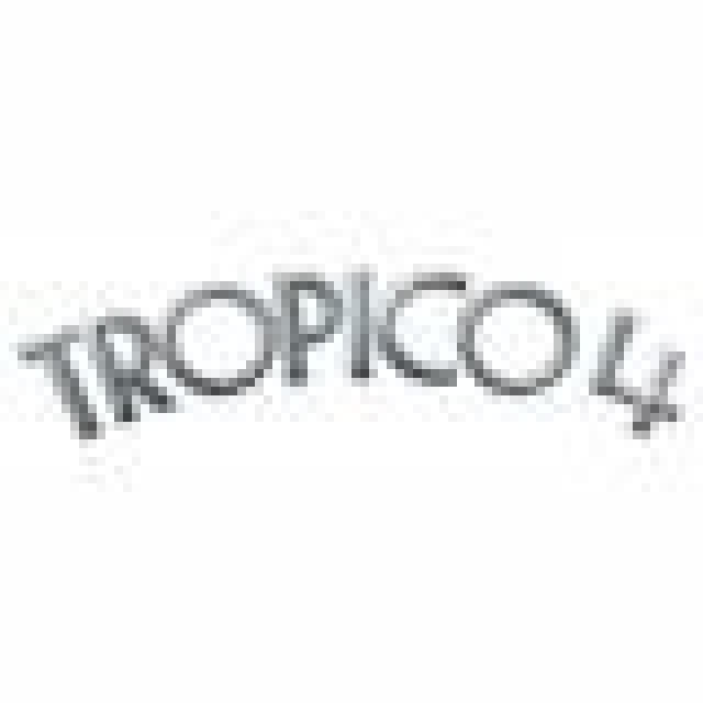 Tropico 4: PC-Version jetzt im HandelNews - Spiele-News  |  DLH.NET The Gaming People